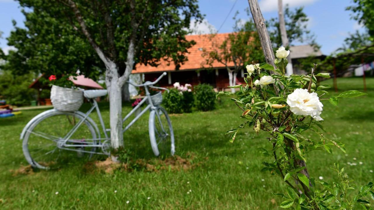 House Luna Rakovica Exteriör bild
