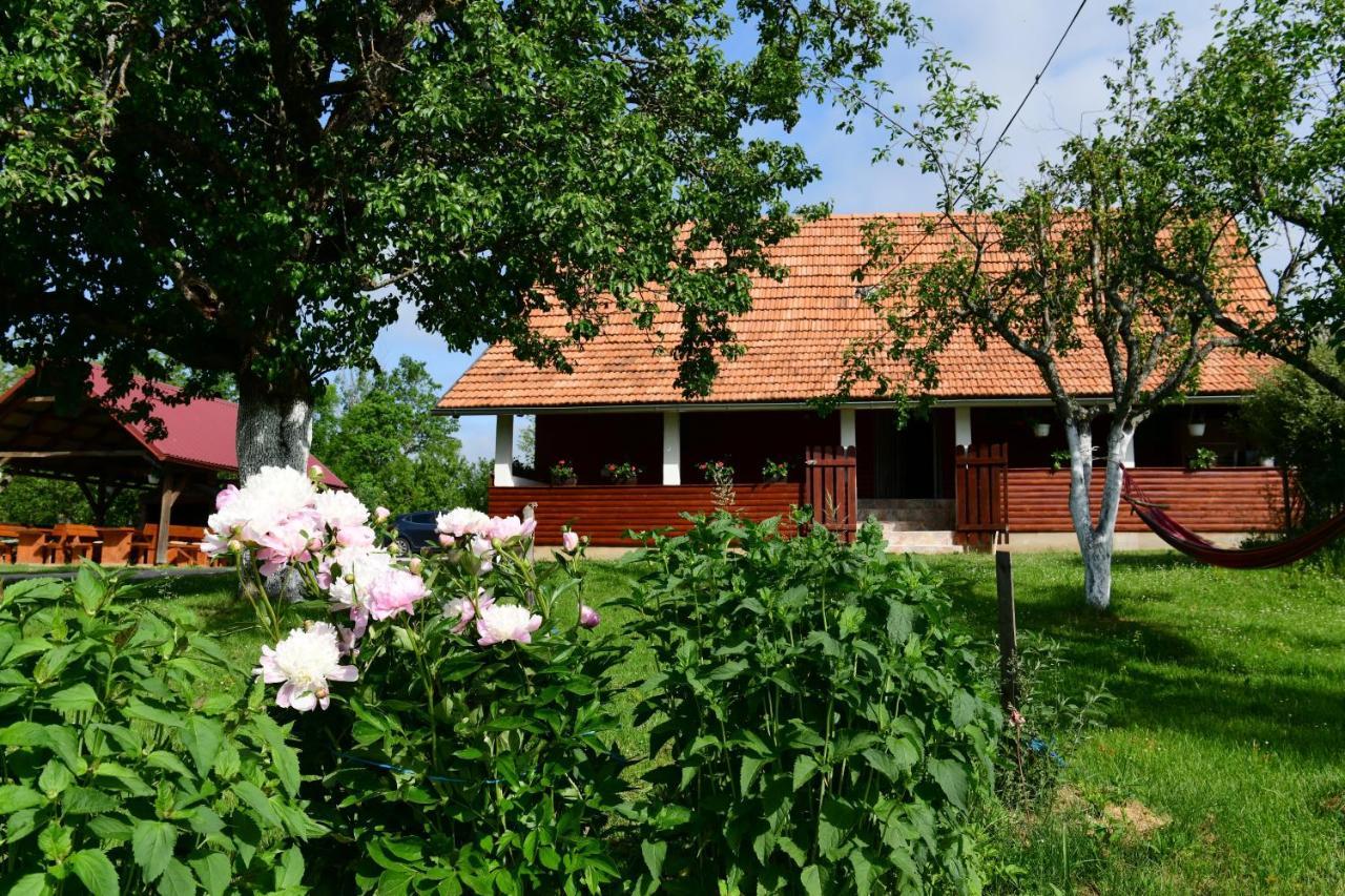 House Luna Rakovica Exteriör bild